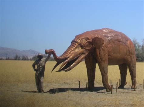 Gomphothere - Alchetron, The Free Social Encyclopedia