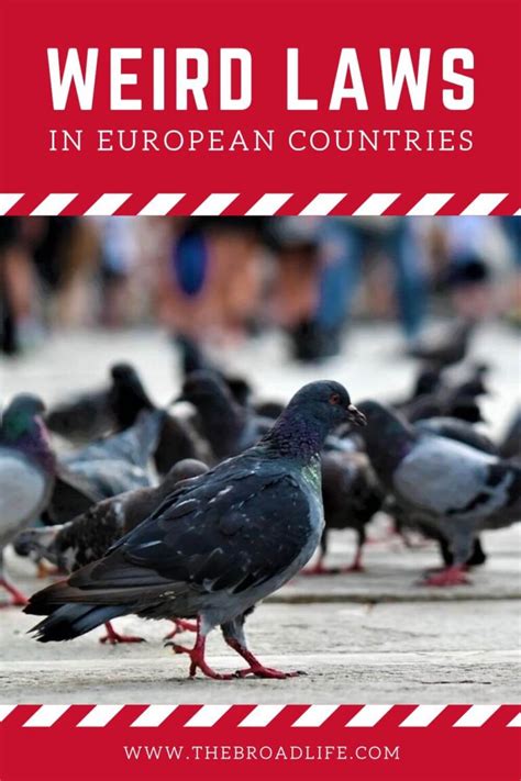 Weird Laws in Europe That Everyone Should Know | The Broad Life