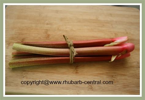 Rhubarb Varieties - Best Types or Kinds of Rhubarb Plant Cultivars