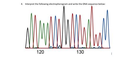 Solved 4. Interpret the following electropherogram and write | Chegg.com