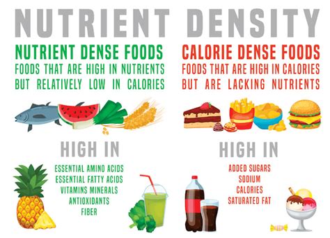 What Is Nutrient Dense Foods & Does It Have Any Benefits?