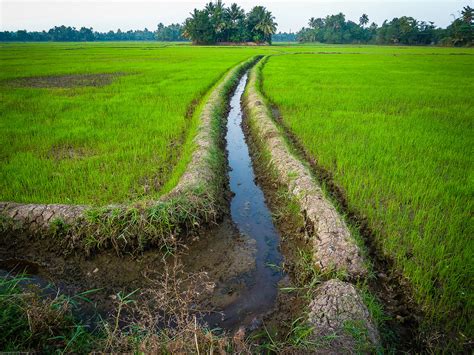 Irrigation Ditch, Kerala, India-5.jpg | Jay Berkow | Flickr