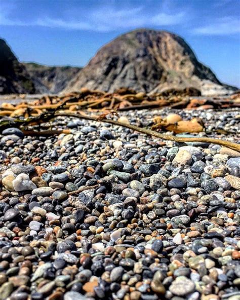 Agate beach | Oregon coast, Natural landmarks, Beach