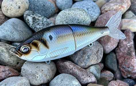 Violet Threadfin Shad 6.5” Glidebait – Colorado Custom Lures