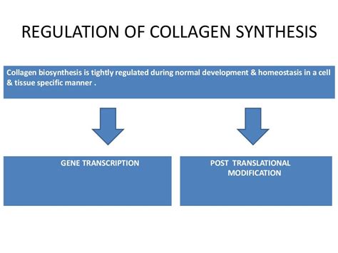 Collagen Structure , ans synthesis