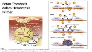 Materi Hemostasis.pdf