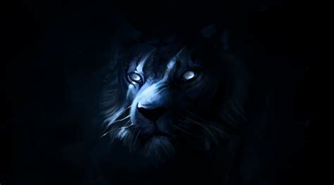 Tiger Dark Wallpapers - Wallpaper Cave