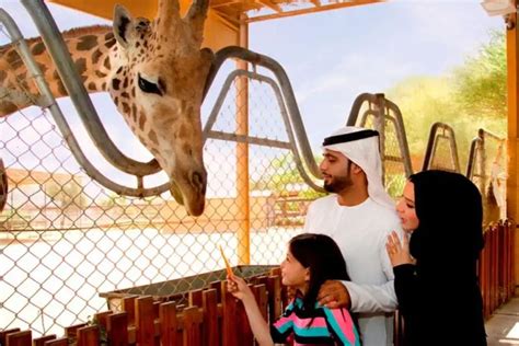 Famous Zoos in the UAE: Dubai Safari Park, Al Ain Zoo & More