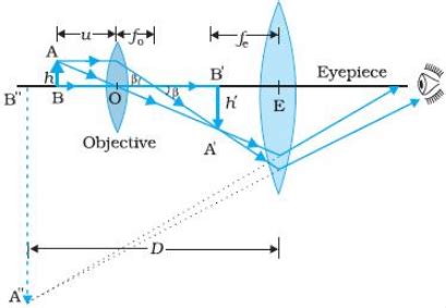 Draw a ray diagram to show the working of a compound microscope - CBSE ...