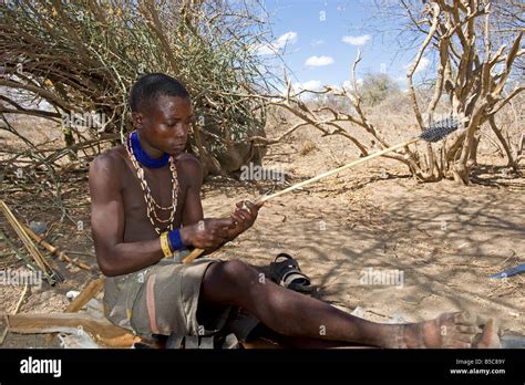 A member of the Hadza tribe examines an arrow before going to hunt Lake Eyasi Tanzania Stock ...