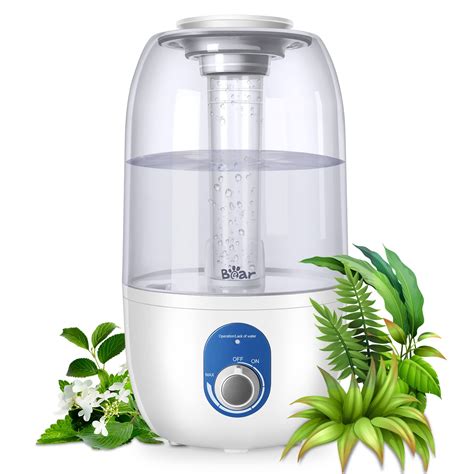 9 Best Humidifiers For Plants: Top Picks and Expert Tips 2024