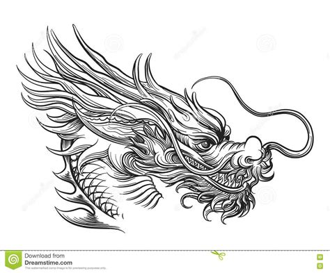 Drawn chinese dragon #805 | Dragon head drawing, Dragon head tattoo, Dragon face