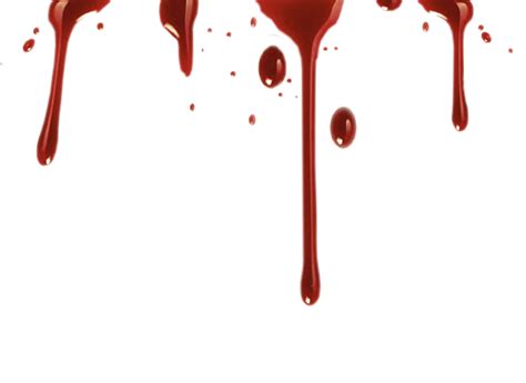 Realistic blood drip png, Realistic blood drip png Transparent FREE for download on ...