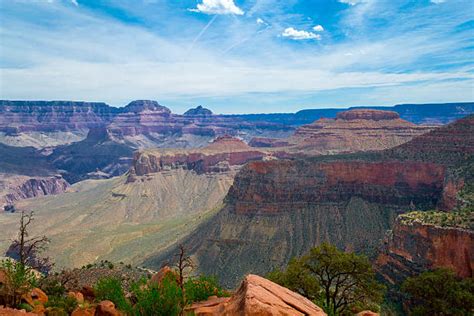 Best Kaibab National Forest Stock Photos, Pictures & Royalty-Free Images - iStock