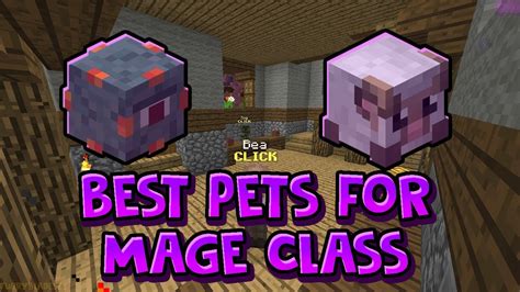 Best Pets For Beginners Hypixel Skyblock - Anna Blog