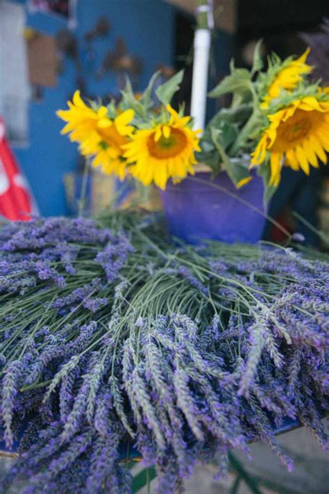 The Londoner » The Lavender Festival, Provence