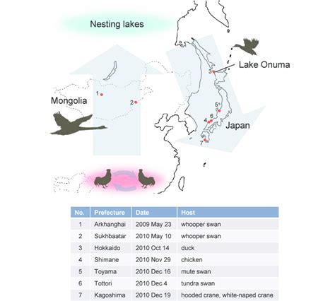 The putative transmission dynamics of H5N1 HPAIV in eastern Eurasia in ...