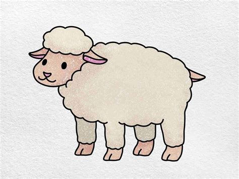 Sheep Drawing for Kids - HelloArtsy