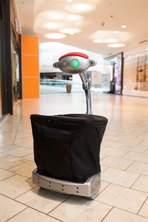 Budgee the Friendly Robot - Follows You and Carries Your Things