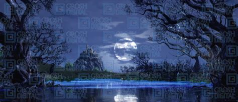 Swan Lake Projected Backdrops - Grosh Digital