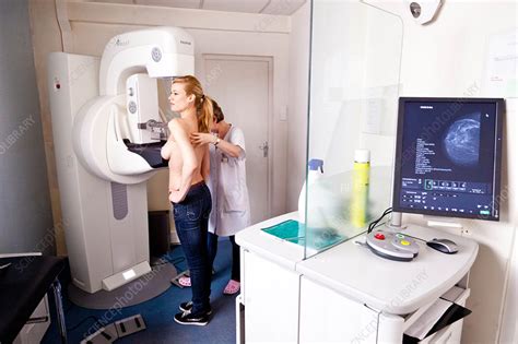 Mammography - Stock Image - C032/9409 - Science Photo Library