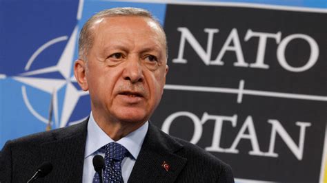 Turkey's Erdogan says Finland may join NATO without Sweden