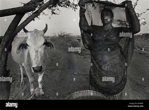 Bishnoi tribes hi-res stock photography and images - Alamy