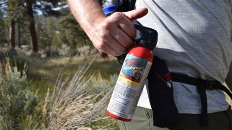 5 Essential Bear Safety Tips | Bear safety, Bear spray, Safety tips