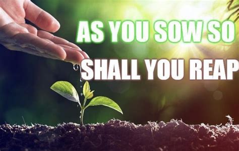 REAP WHAT YOU SOW!! | HARVEST CHURCH OF GOD