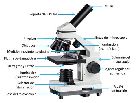 Microscopio E Suas Partes