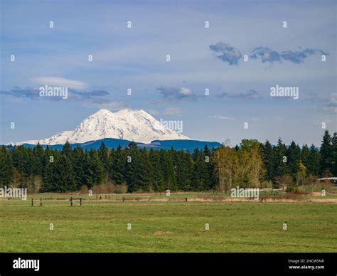 View of Mt. Rainier summit Stock Photo - Alamy