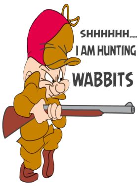 Elmer fudd hunting rabbit - tiklostream