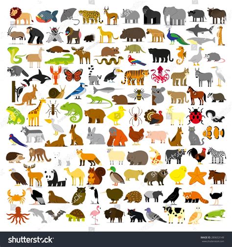 Vector Set Cartoon Different Animals Isolated Stock Vector (Royalty ...