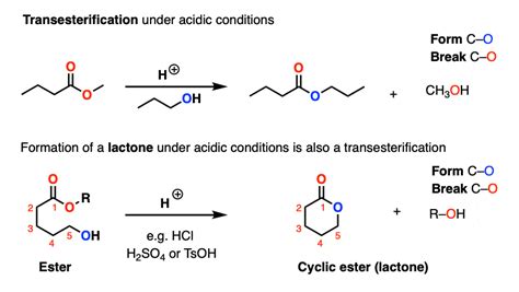 Transesterification – Master Organic Chemistry