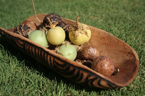 Aboriginal Coolamon Australië Tribal Food Bowl USA Gratis | Etsy