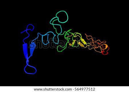 Laminin Stock Images, Royalty-Free Images & Vectors | Shutterstock