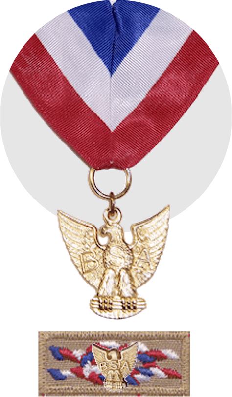 Distinguished Eagle Scout Award - The National Eagle Scout Association