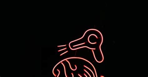 Red Neon Signage · Free Stock Photo