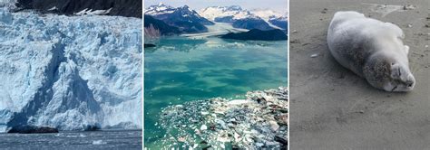 Alaska - Oceans, Coasts & Seashores (U.S. National Park Service)