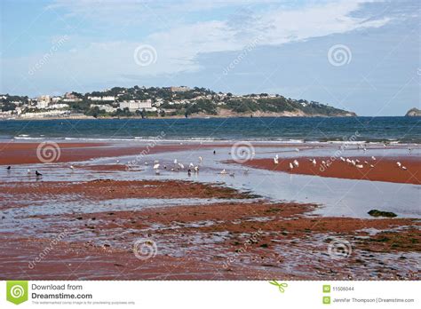 Paignton beach stock photo. Image of hotel, vacation - 11506044