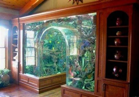 17 Best images about Awsome Tanks on Pinterest | Awesome, Rock n roll and Jelly fish tanks