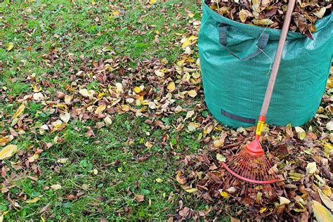 How to Compost Leaves to Benefit Next Year's Garden » The Money Pit