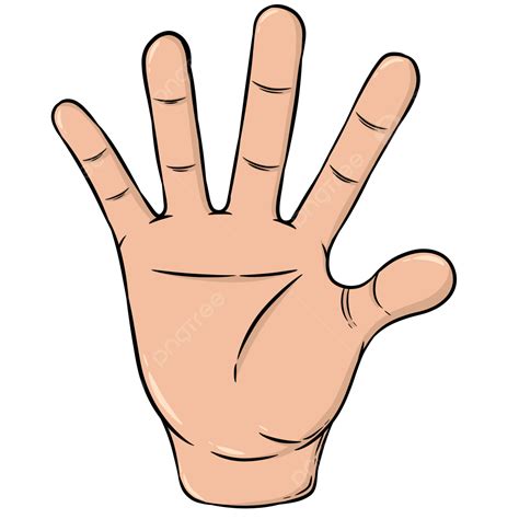 Hand Palms, Hand, Palm, Human Hand PNG Transparent Clipart Image and PSD File for Free Download