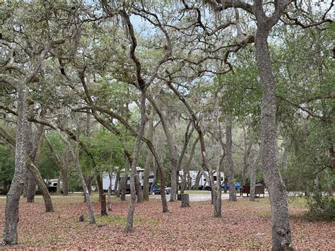 Ultimate guide to Ocala National Forest camping | floridarambler.com