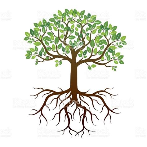 Image result for trees with leaves branches roots and trunk for ...