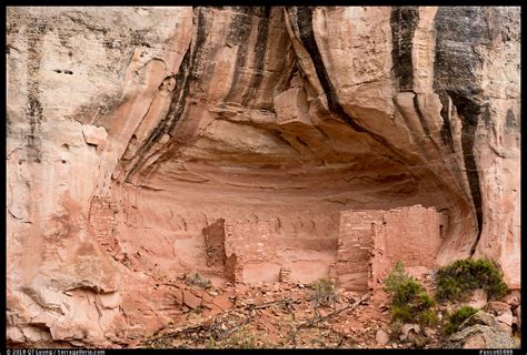 » Canyons of the Ancients National Monument: an Interconnected Cultural Landscape - from QT ...