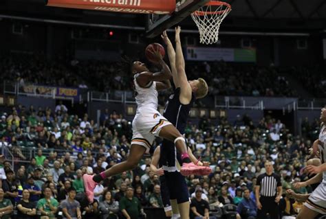 Hawaii men’s basketball: Current Rainbow Warriors make their picks for ...