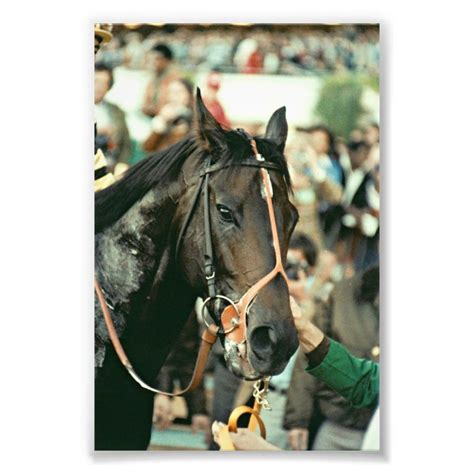 Seattle Slew Thoroughbred 1978 Photo Print Size: 4" x 6". Gender: unisex. Age Group: adult ...