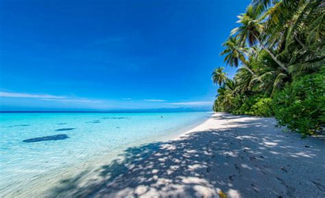 Top 4 Best Beaches in Micronesia - toplist.info