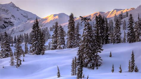 Winter Morning In The North Cascades, North Cascades National Park ...